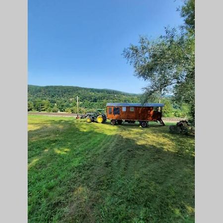 Autarkes Tiny House Mit Rheinblick Apartment Rumikon Ngoại thất bức ảnh